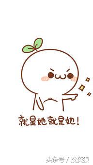 龙头股涨停板战法视频,股市高手炒股技巧大全