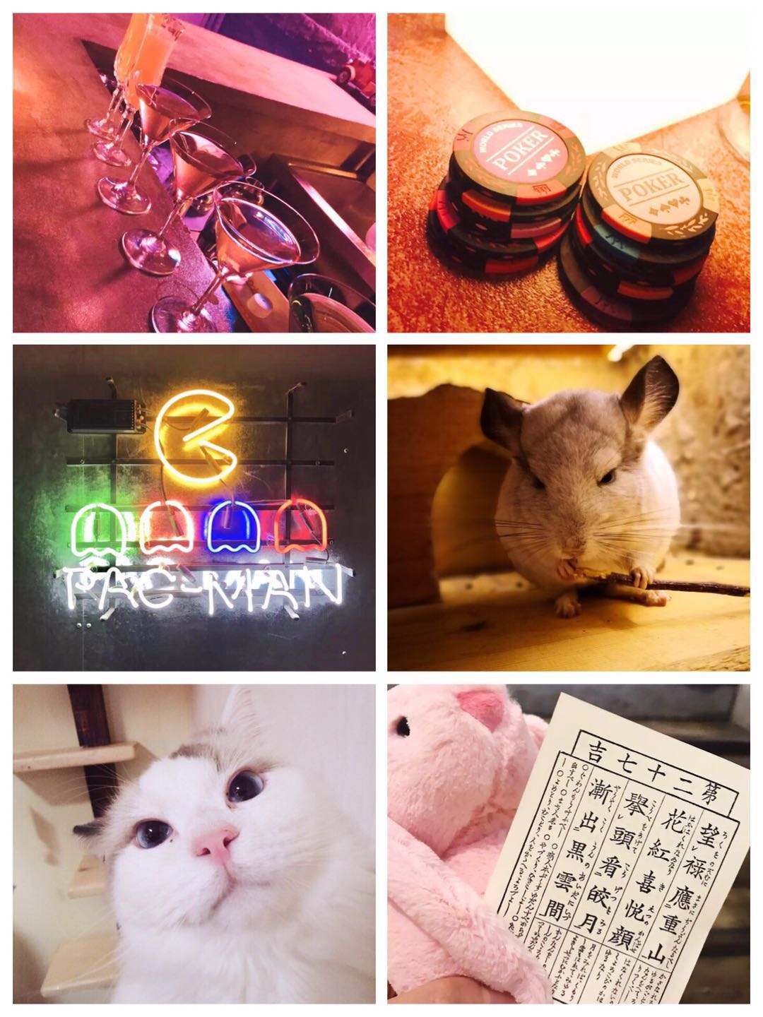 12月上海有什么大型活动,12月魔都