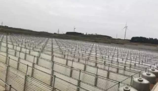 你真的了解森岛帆高吗,威海临港区未来有发展前途吗