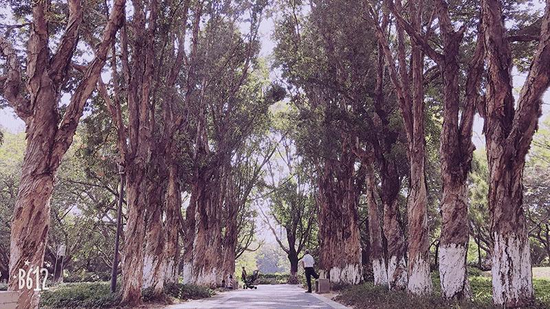 角度|宝安这些地方，能让你一秒爱上跑步！