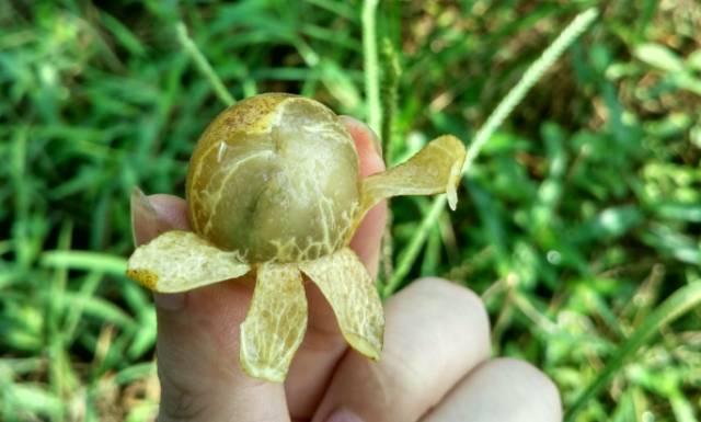 砥砺前行的五年感想,砥砺奋进的这五年