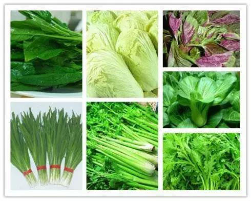 残败的菊花可以剪掉吗,野菊花开败后怎么处理