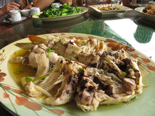 来肇庆端州旅游去哪玩,去肇庆市旅游带什么手信