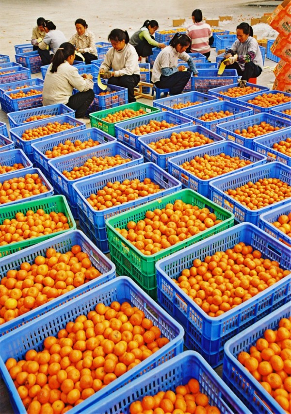 来肇庆端州旅游去哪玩,去肇庆市旅游带什么手信