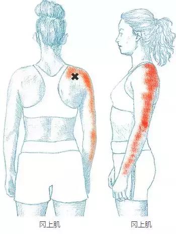 这些放松方法，可以让你舒舒服服渡过“肌肉关”