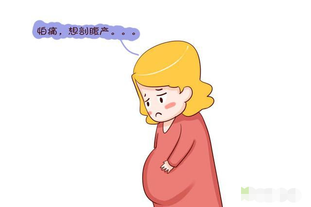 女人一生最多能做几回剖腹产,女人一生最多可以承受生几个孩子