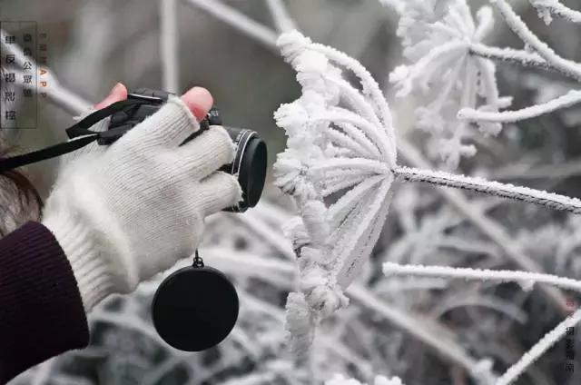 不知道相机哪里出了问题,相机保养方法和关注事项