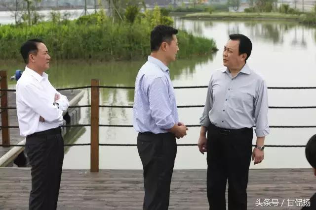 有什么电视剧在珠海拍,有哪些剧是在珠海拍的