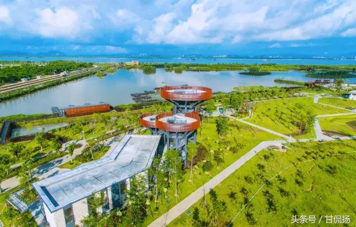 有什么电视剧在珠海拍,有哪些剧是在珠海拍的