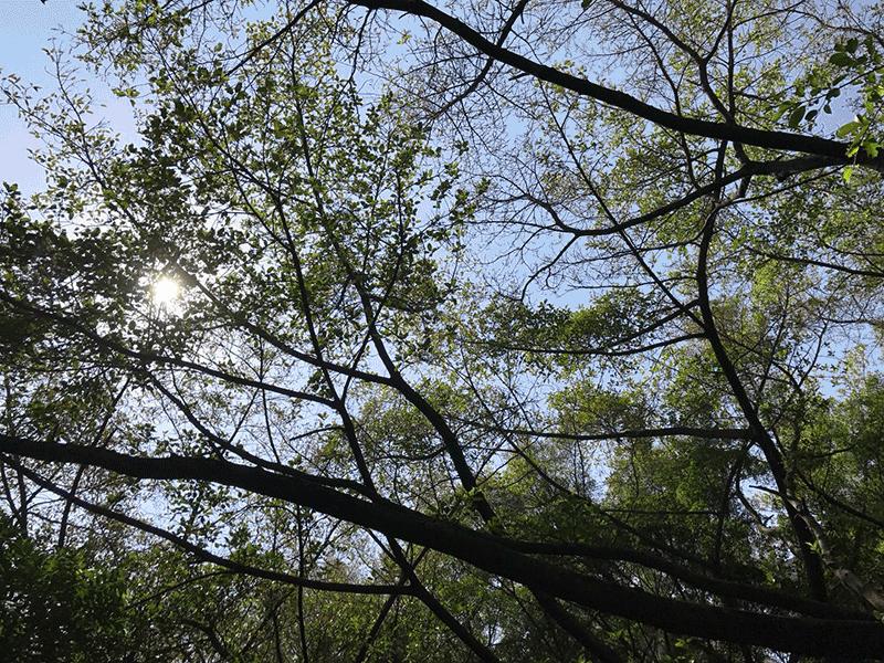 角度|宝安这些地方，能让你一秒爱上跑步！