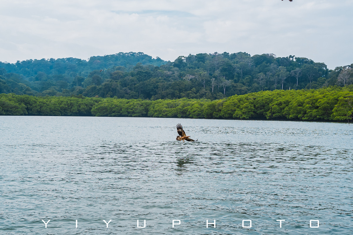 悠游一夏，马来西亚——六日自由行攻略