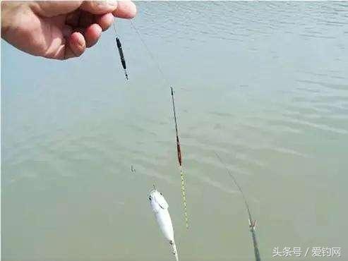 河里钓鱼调漂的正确方法与技巧,黑坑钓鱼调漂的正确方法与技巧