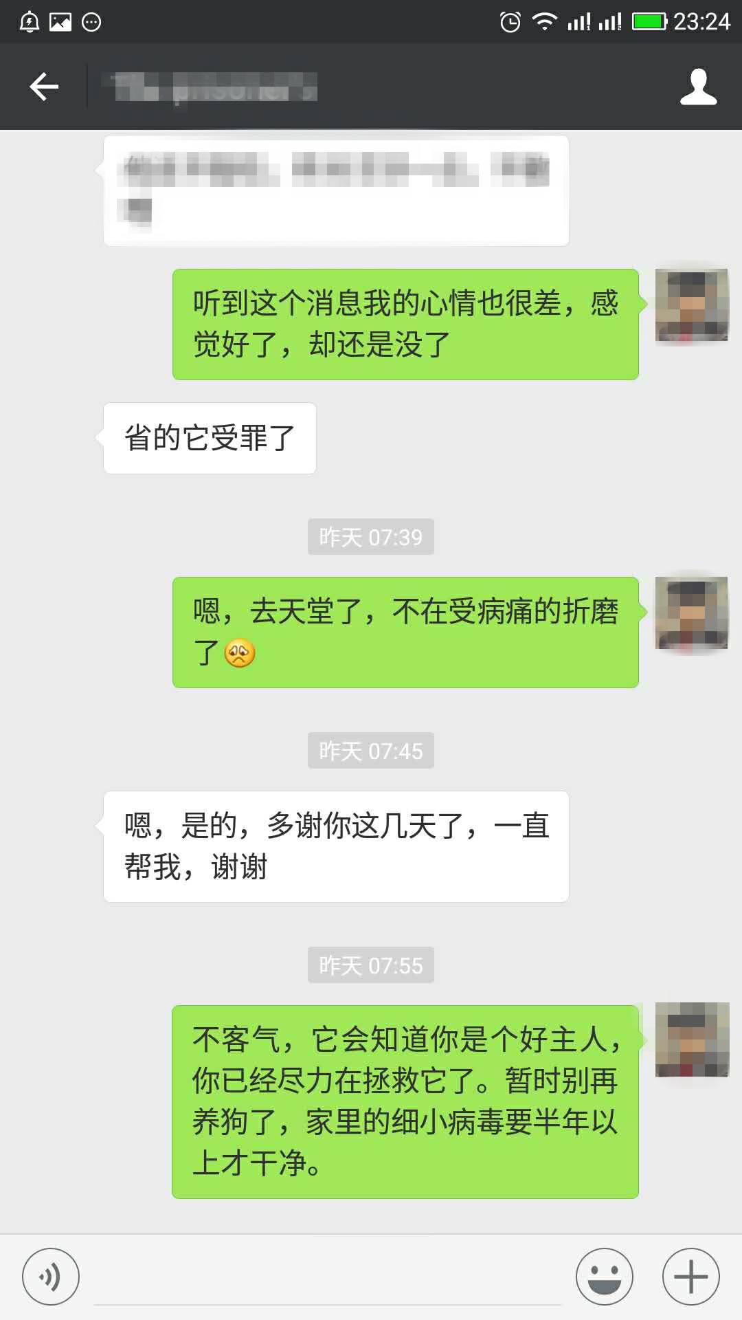 狗狗得了细小和冠状怎么治疗,利巴韦林可以治疗狗狗细小吗