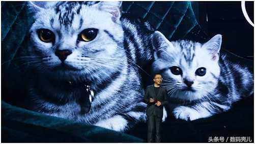 参加荣耀发布会,参加荣耀100发布会