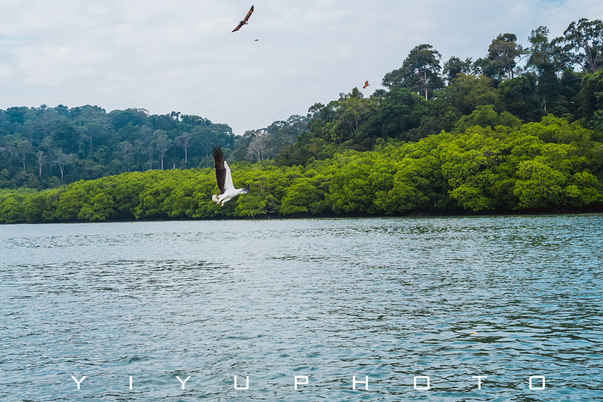 悠游一夏，马来西亚——六日自由行攻略