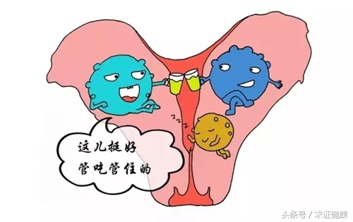 怀孕为啥长子宫肌瘤,年纪轻轻为什么有子宫肌瘤