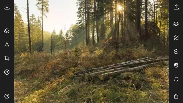 如何修图让图片有油画感,儿童油画风格后期修图教程