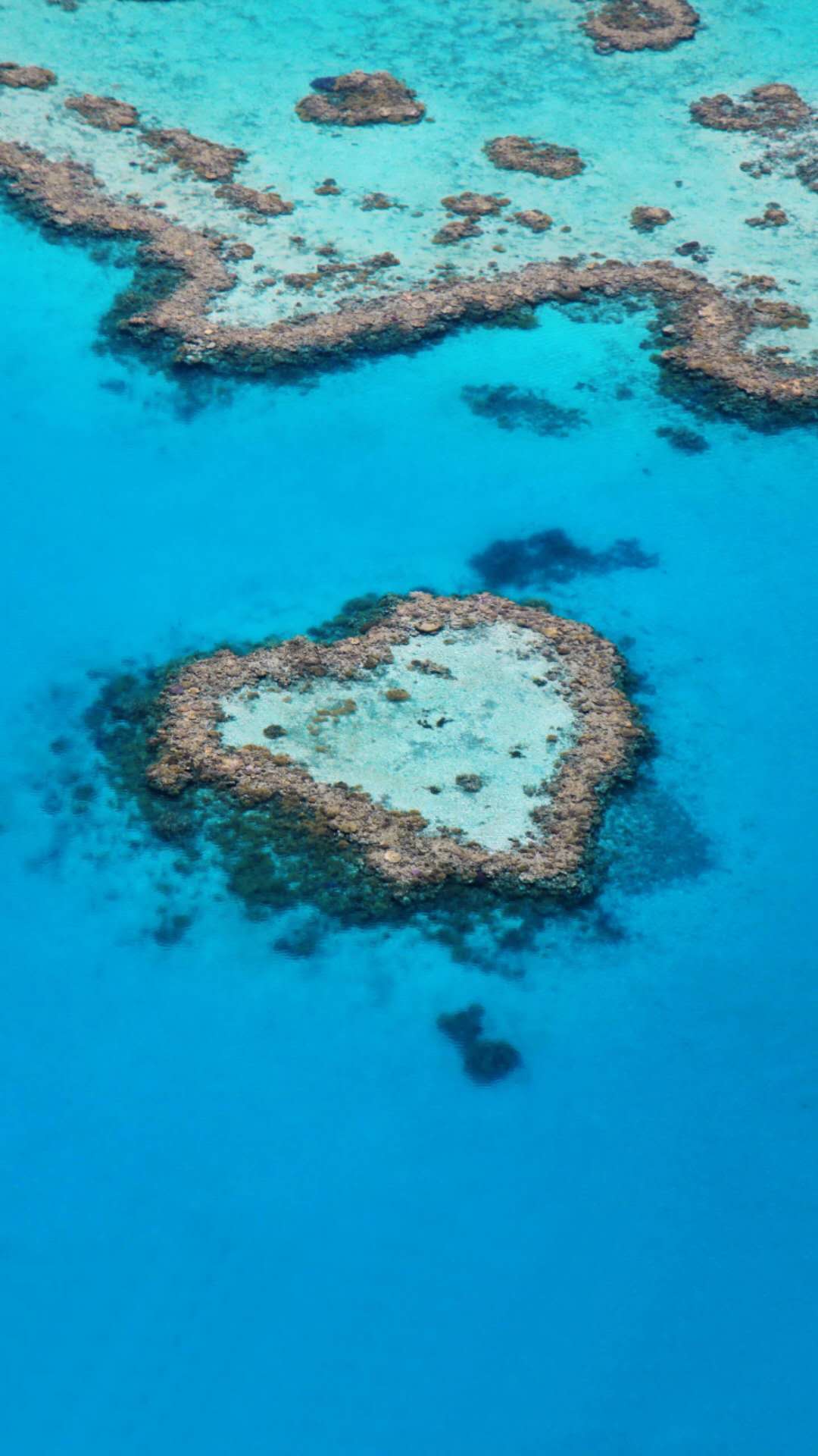 做销售遇到的九种客户,做销售记住价格很重要吗