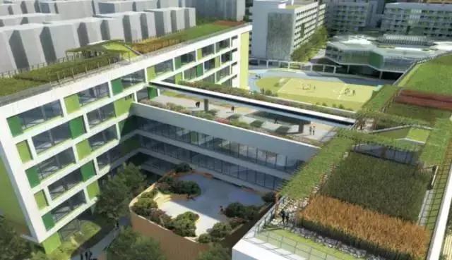 名校疯了成都今明两年新开学校29所，跑步进入名校“新一线城市”