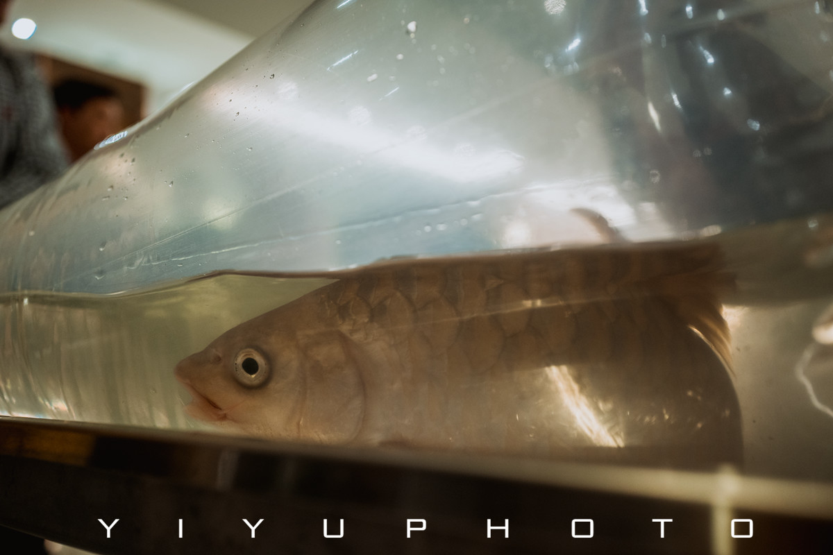 悠游一夏，马来西亚——六日自由行攻略