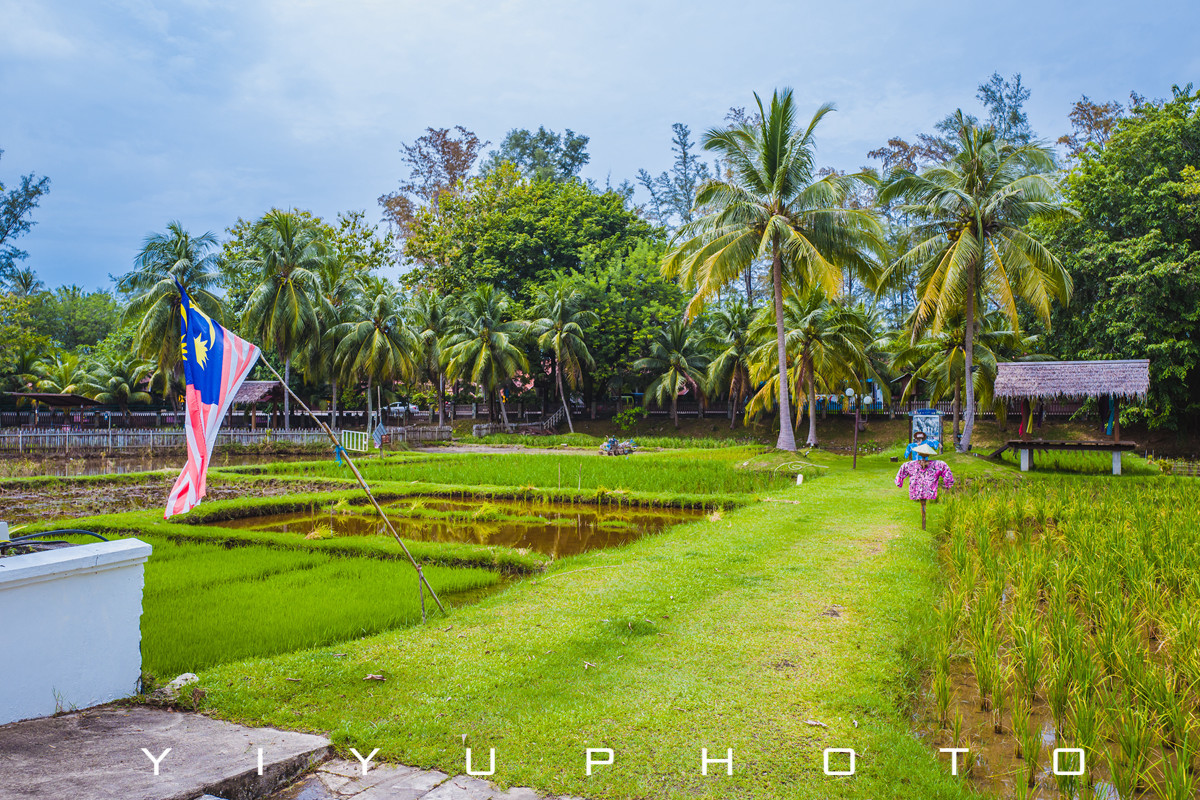 悠游一夏，马来西亚——六日自由行攻略