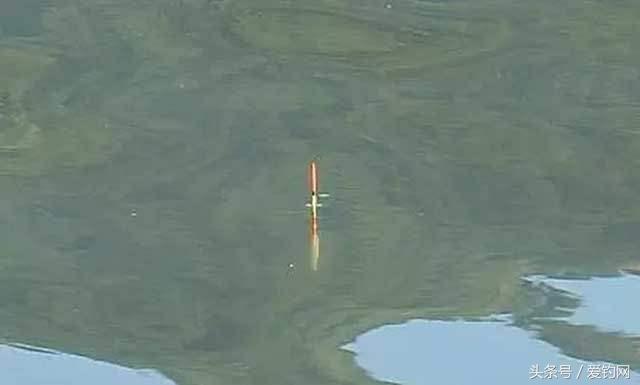 河里钓鱼调漂的正确方法与技巧,黑坑钓鱼调漂的正确方法与技巧