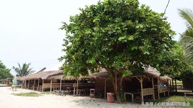 雅加达值得去的地方,被称为椰城的城市