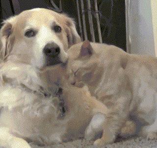 姣忔棩绗戞姤鐖嗙瑧璇綍,姣忔棩绗戞姤2014