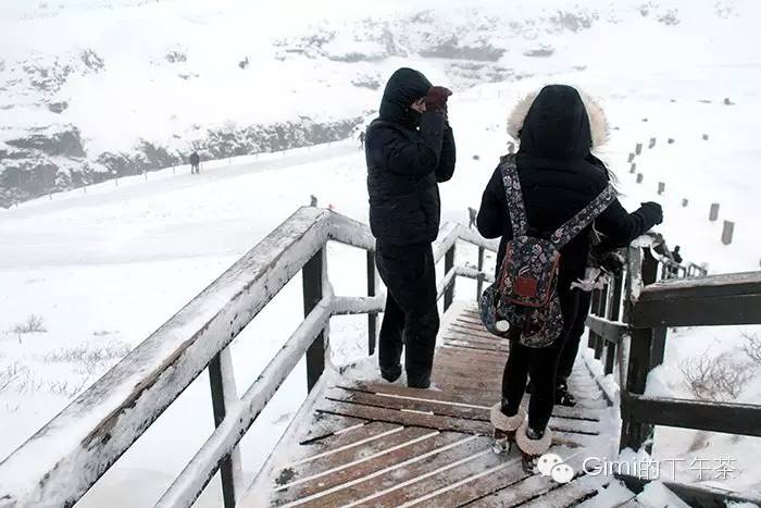 冰岛|在去黄金圈的路上，我的广发信用卡却被盗刷了