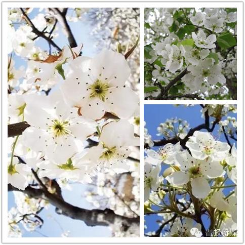 guide女声版,guide女团出道了吗