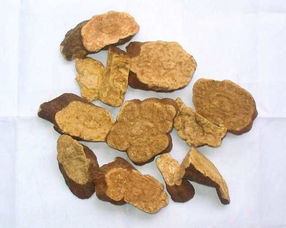 野生何首乌比普通首乌有什么好处,野生九制何首乌价格行情