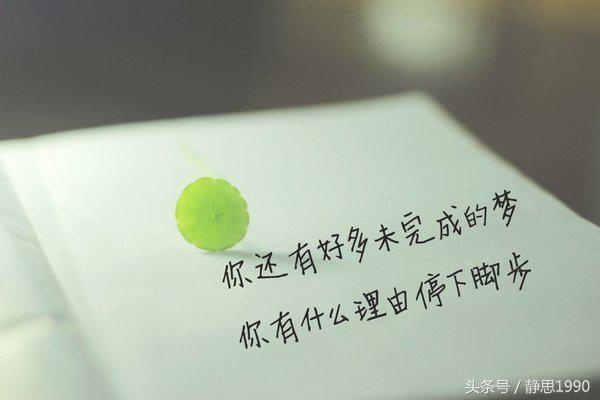 嘴上积德的郭德纲经典语录,郭德纲回应为啥嫉恶如仇