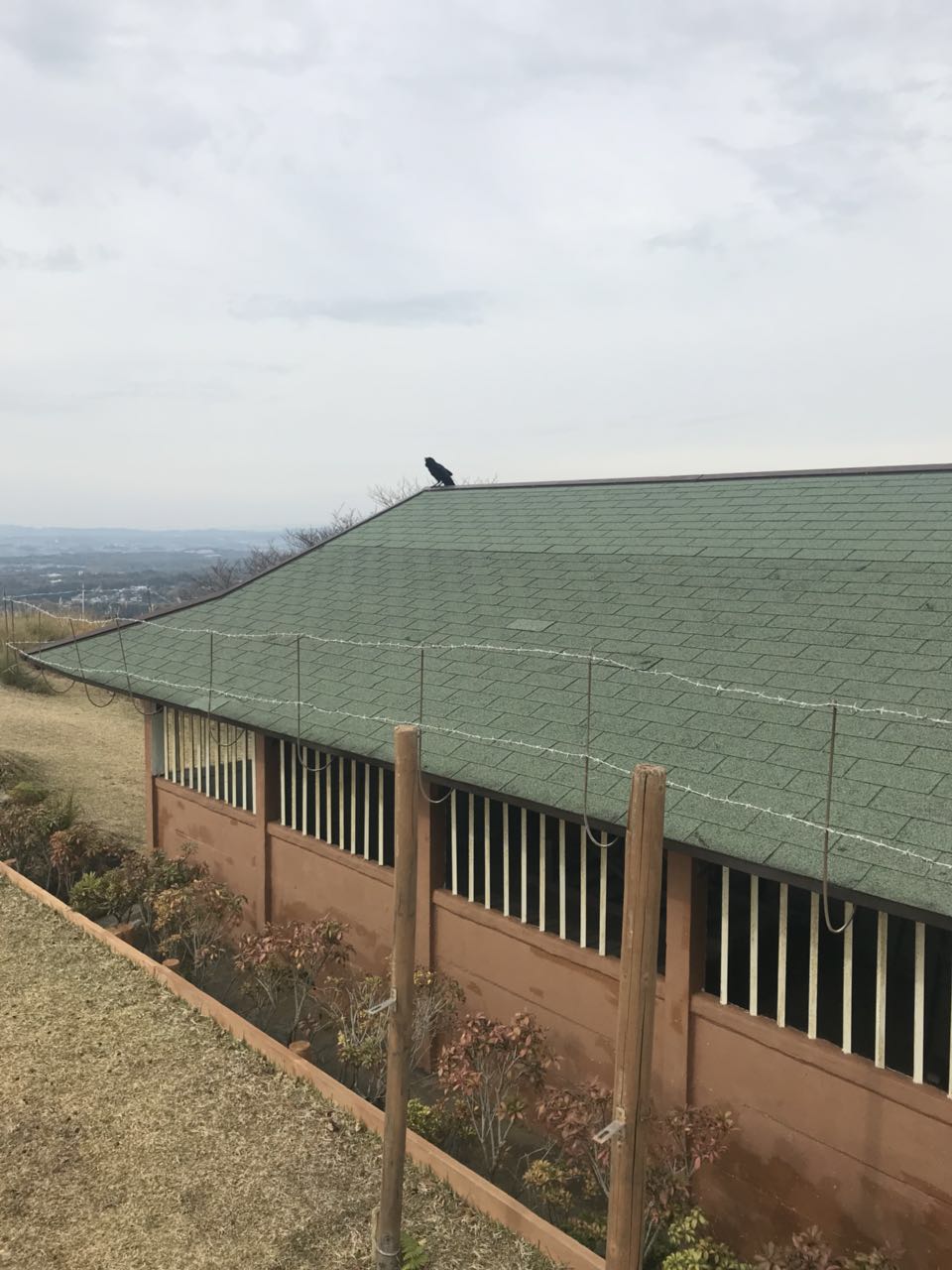 日本关西美食攻略,跟我游旅游攻略