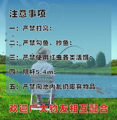钓鱼人的无助与无奈,钓鱼人的钓鱼生涯