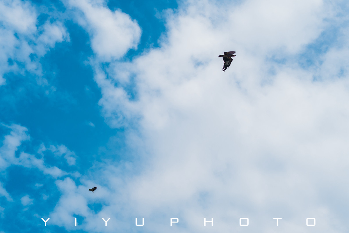 悠游一夏，马来西亚——六日自由行攻略