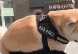 姣忔棩绗戞姤鐖嗙瑧璇綍,姣忔棩绗戞姤2014