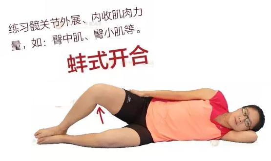 股骨头坏死的康复操,史主任股骨头坏死康复操