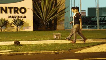 科比与球星视频,科比和冠军合影