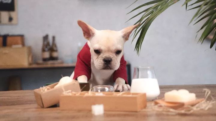 平价又超奶香的羊奶皂,正宗澳洲羊奶皂