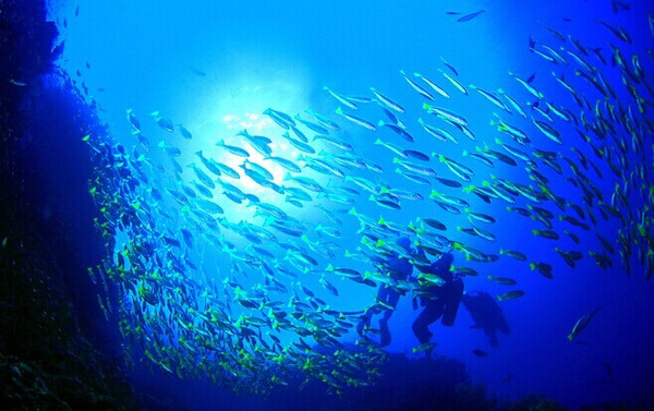 马尔代夫属于哪个国家？去马代要多少钱？你想知道的都在这儿了！