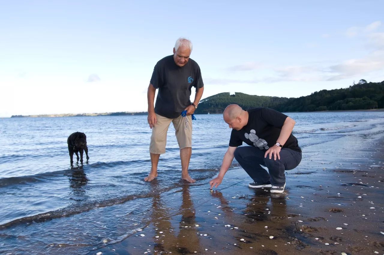 在新西兰我连吃两顿杭伊，还和毛利武士干了一架|出发吧