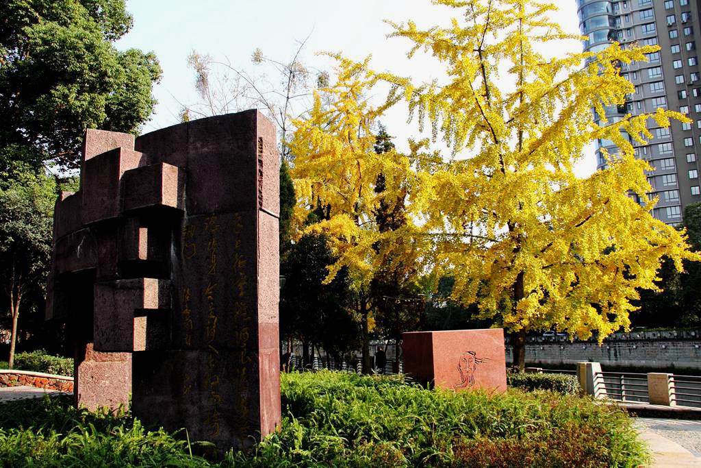 又到银杏叶黄时,又到一年银杏黄