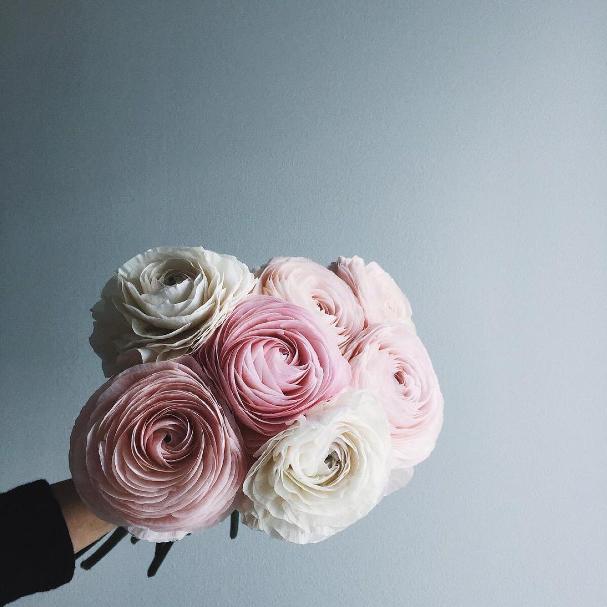 意境微信头像,意境微信相册封面图