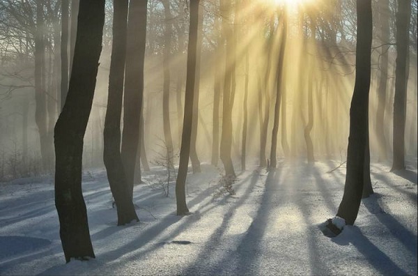 摄影测光原理及使用方法,集体摄影测光模式