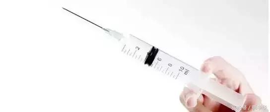 治猪病的草药,什么药能治猪的百病