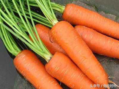 女人多吃哪些东西补气血,保护卵巢延缓衰老吃什么