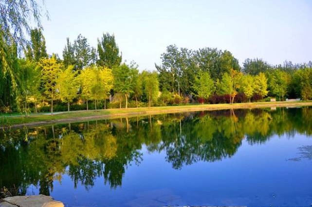 北京四个踏青必备的免费公园,北京小众湿地公园