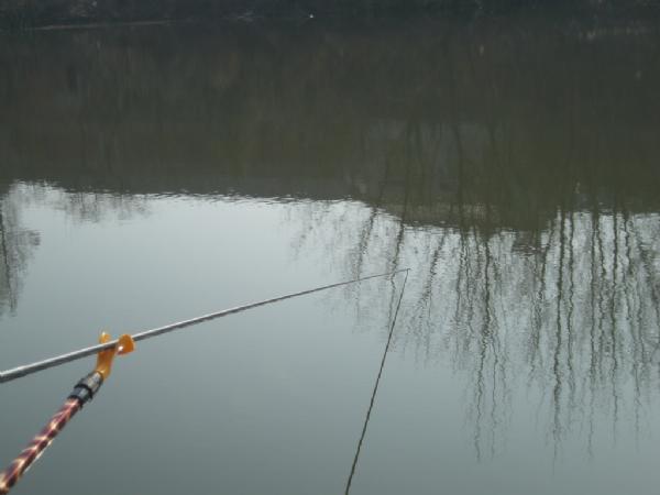 大条有二两，小的有五钱，这可是正宗的寒冬江鲫哟