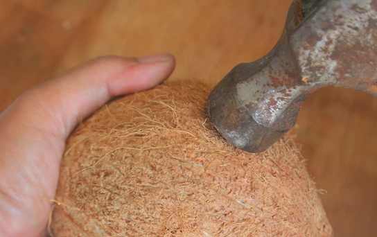 椰子怎么打开最简单方法,椰子怎么打开教学