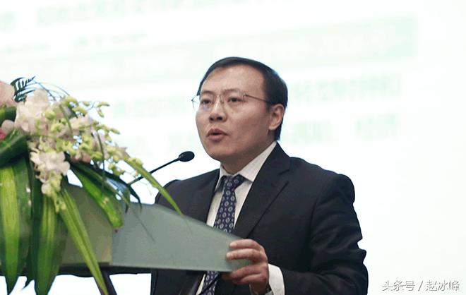 许家印谋士任泽平,许家印任泽平对话